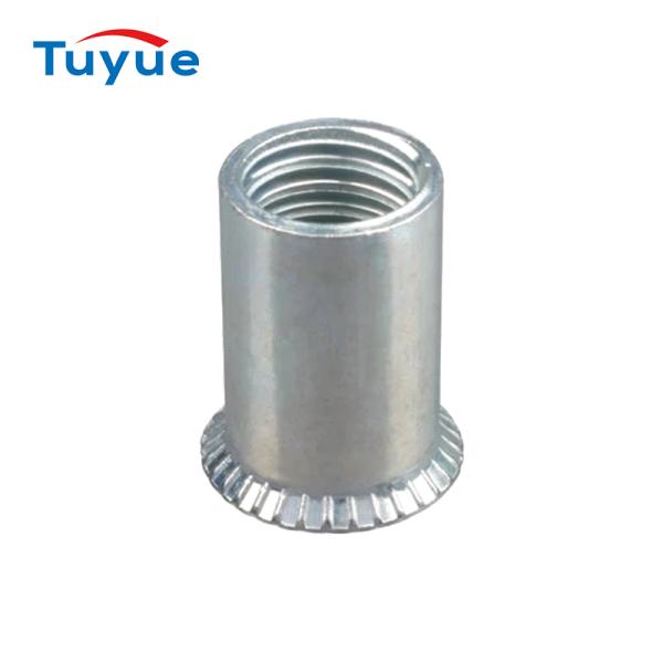 Countersunk Head Round Body Rivet Nut