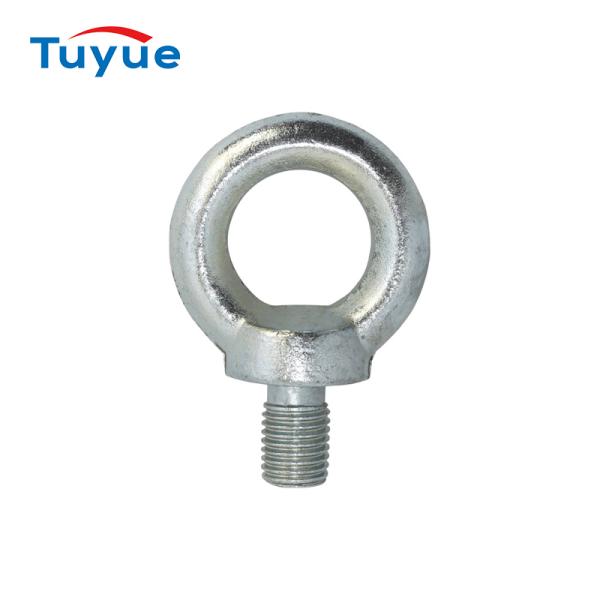 DIN580 EYE BOLT