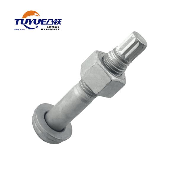 Torsion-shear bolt connection pair with steel structure